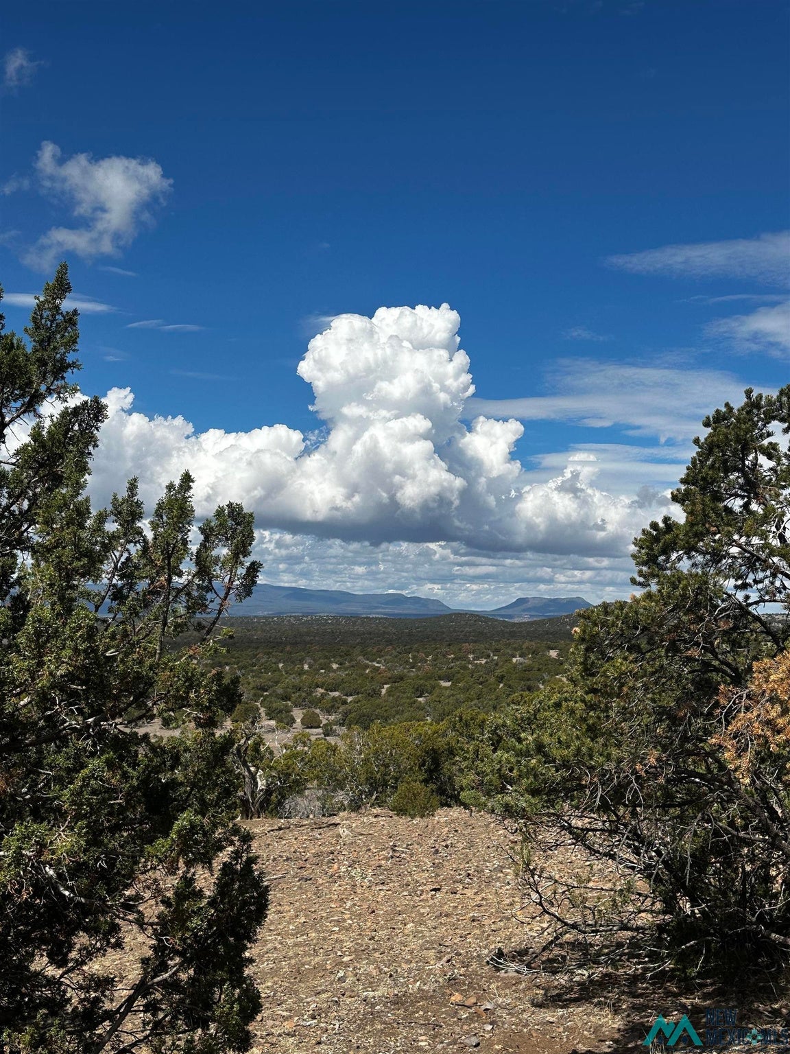 27 Metate Lane Datil, NM 87821 - Photo 81 of 90 Gallery Image 81