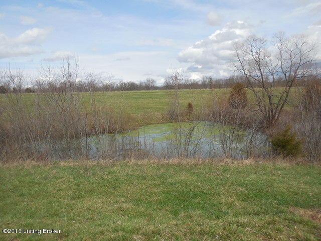 2144 Powell Road Turners Station, KY 40075 - Photo 5 of 26 pond