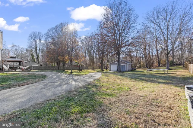a view of yard with tree
