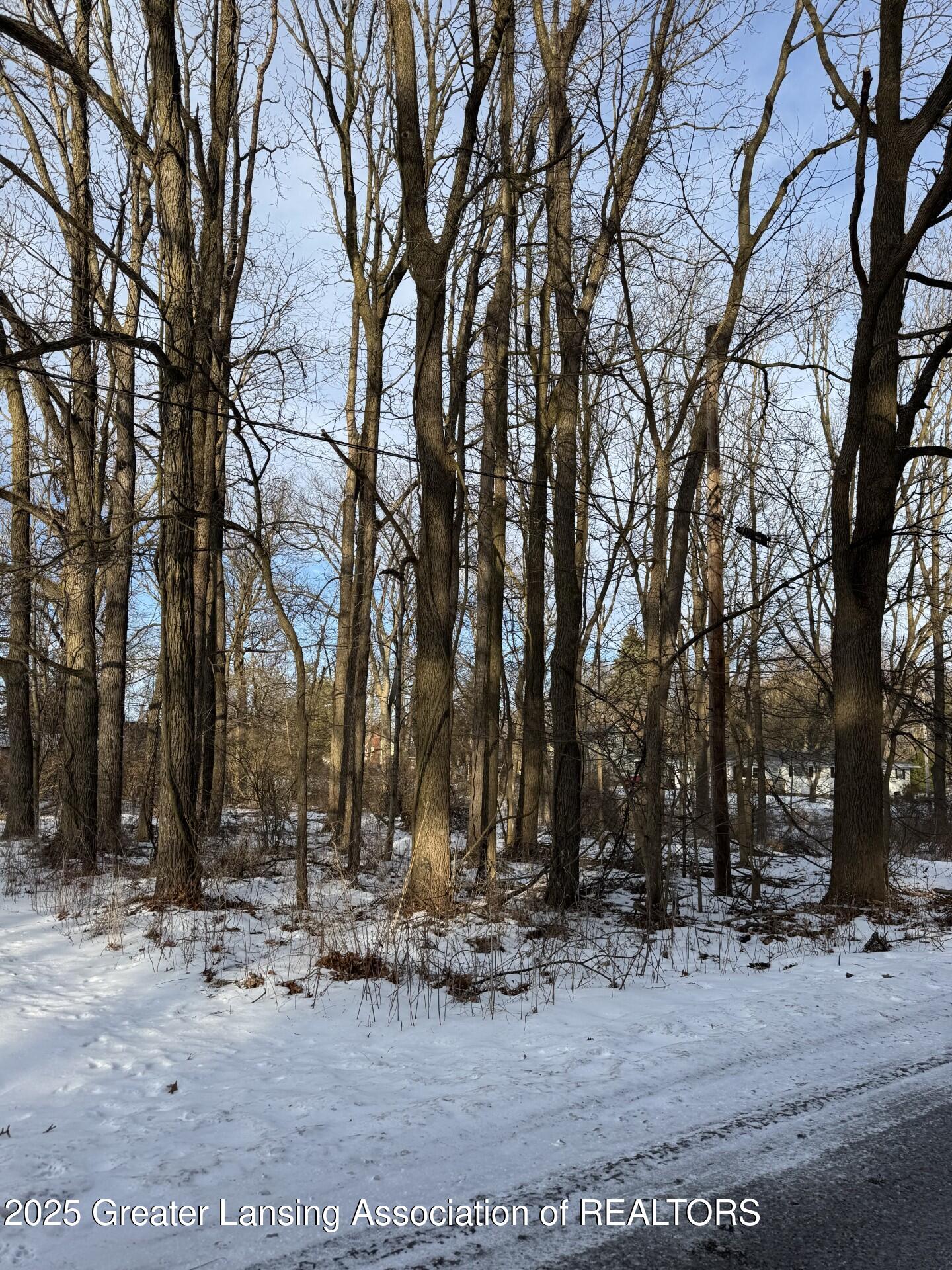 0 Sweet Road Lansing, MI 48906 - Photo 1 of 3 Vacant Lot in Dewitt Charter Township