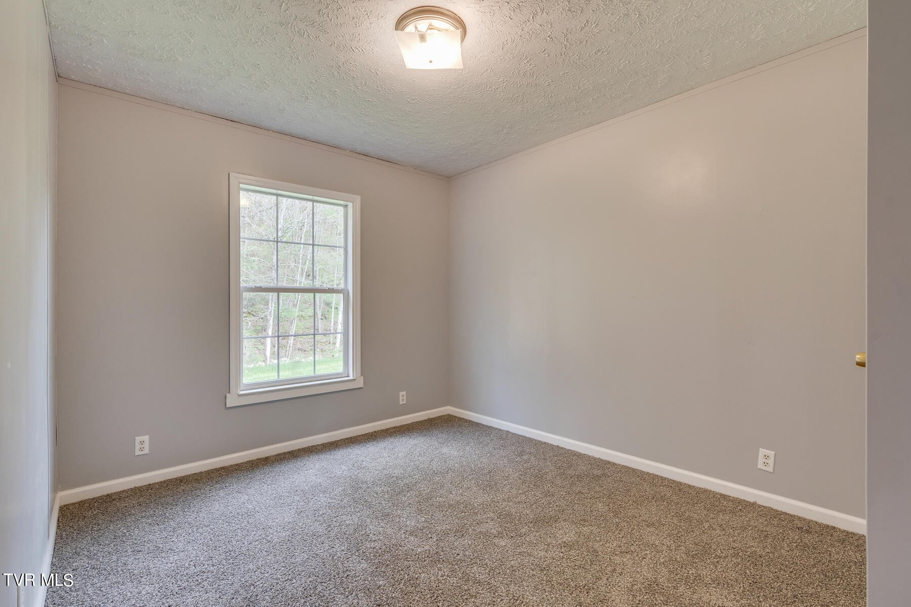 14227 Hunters Valley W Road Duffield, VA 24244 - Photo 18 of 40 018