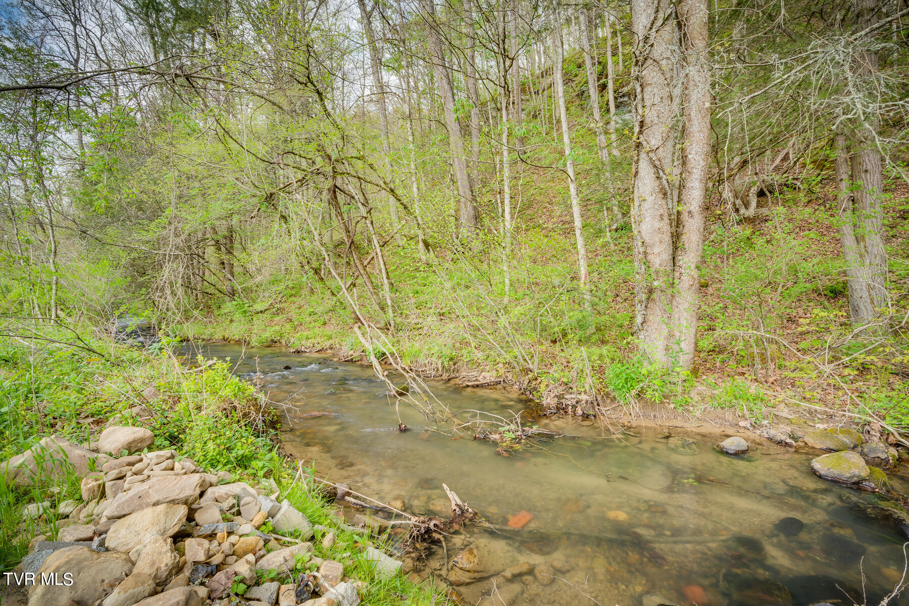 14227 Hunters Valley W Road Duffield, VA 24244 - Photo 35 of 40 035