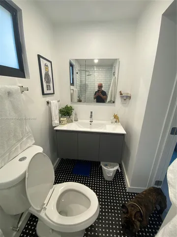 a bathroom with a sink toilet and mirror