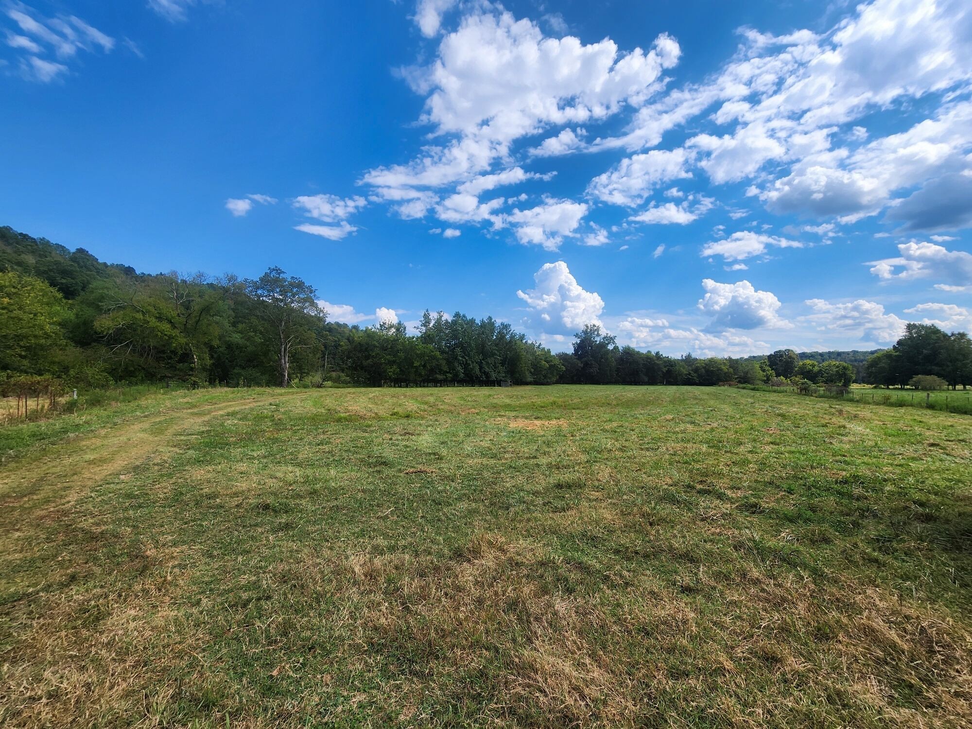 8312 Middle Butler Road Cypress Inn, TN 38452 - Photo 17 of 53 Gallery Image 17