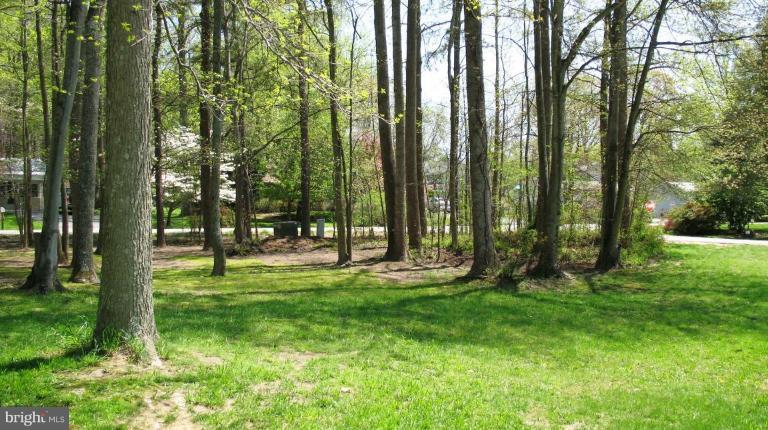 3615 Pine Tree Road Port Republic, MD 20676 - Photo 4 of 16 a view of a park with a tree