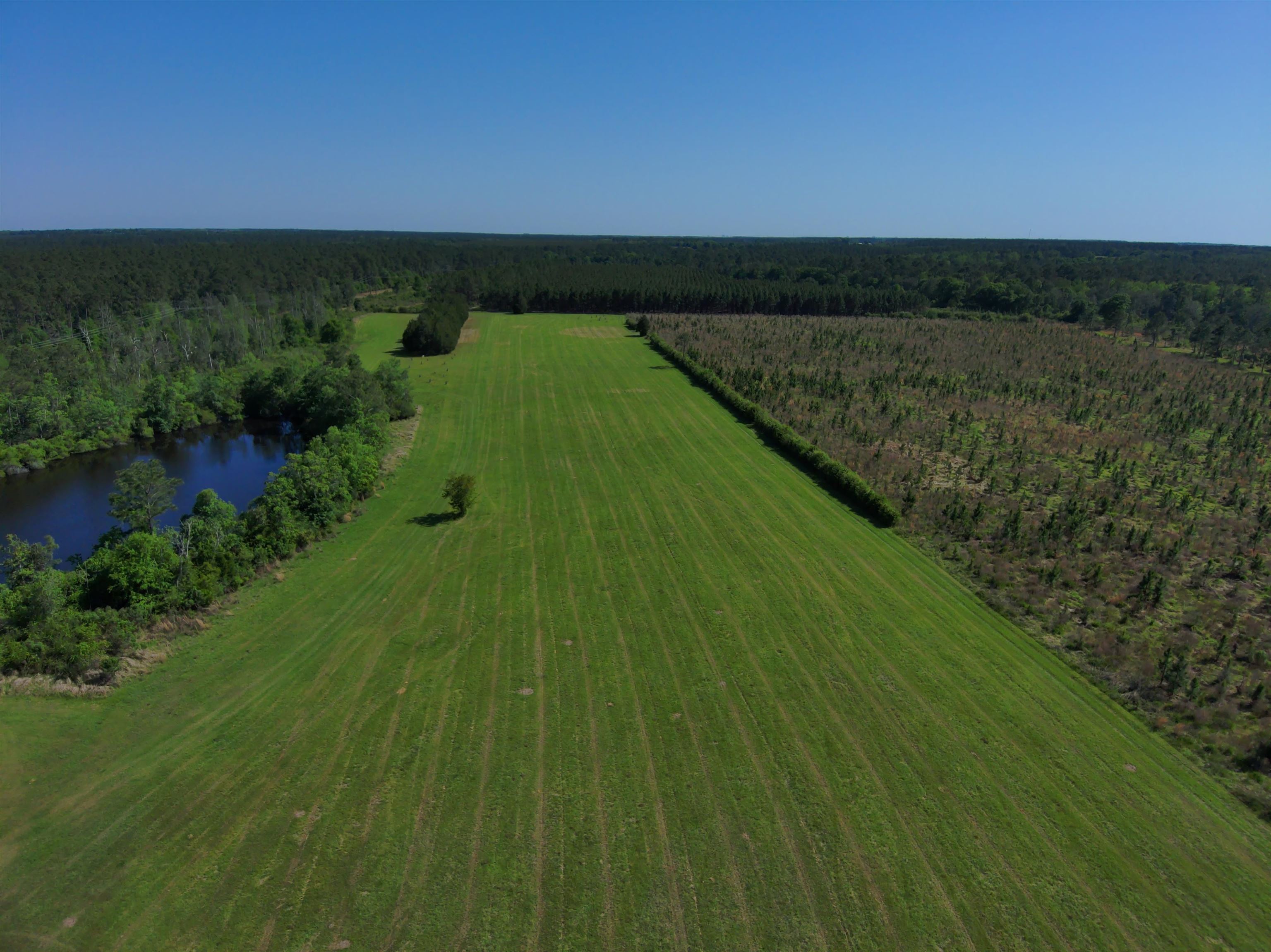 87 County Road 87 Elberta, AL 36530 - Photo 26 of 66 Aerial View