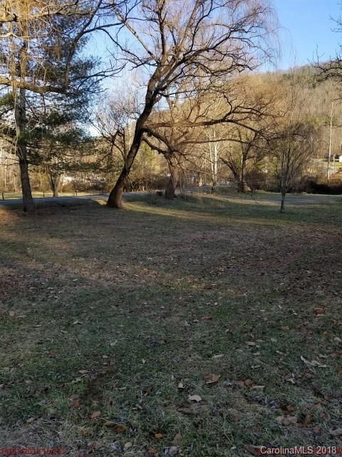 0 Sams Branch Road Candler, NC 28715 - Photo 4 of 6 Gallery Image 4