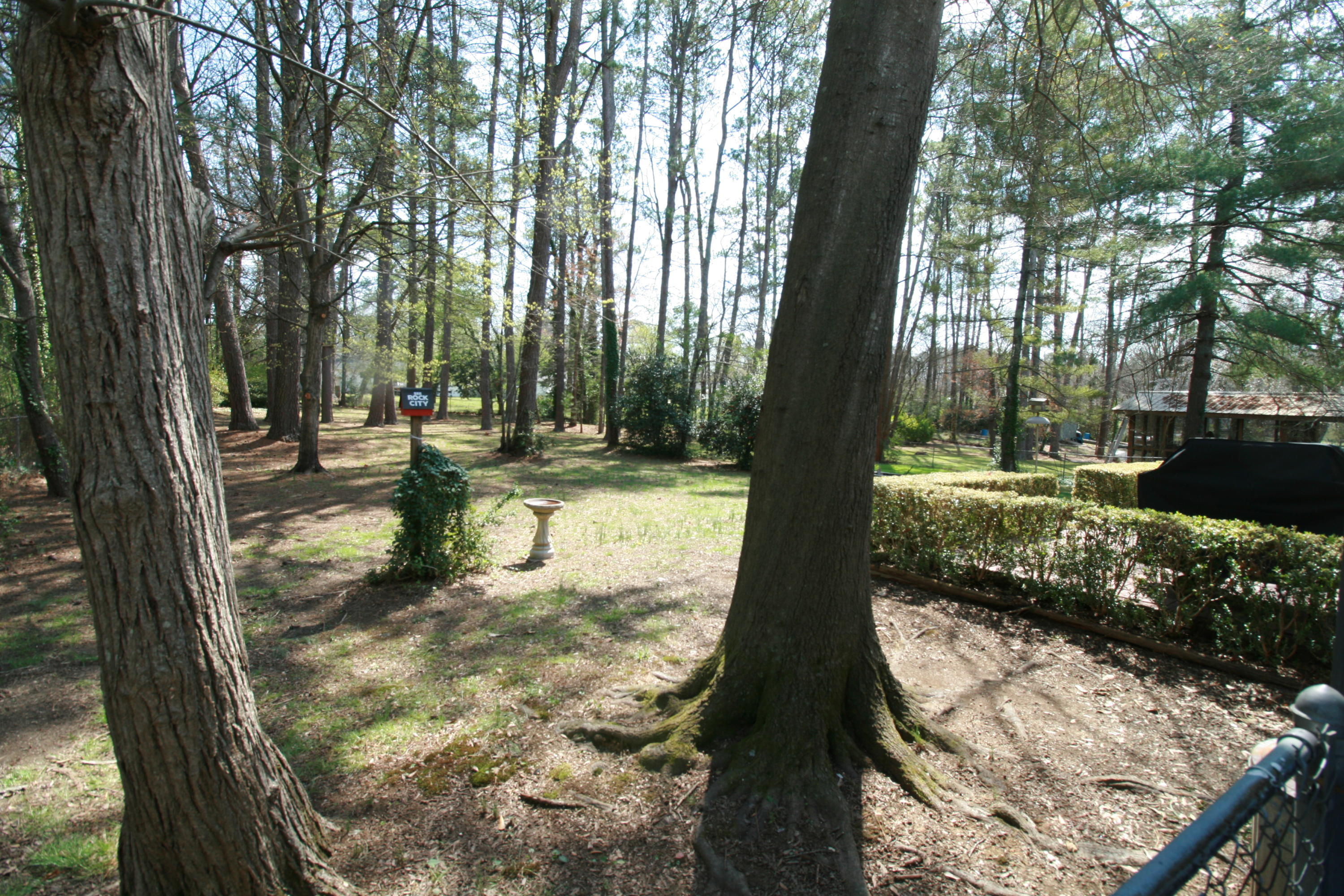 832 Julian Road Chattanooga, TN 37421 - Photo 18 of 19 Back yard