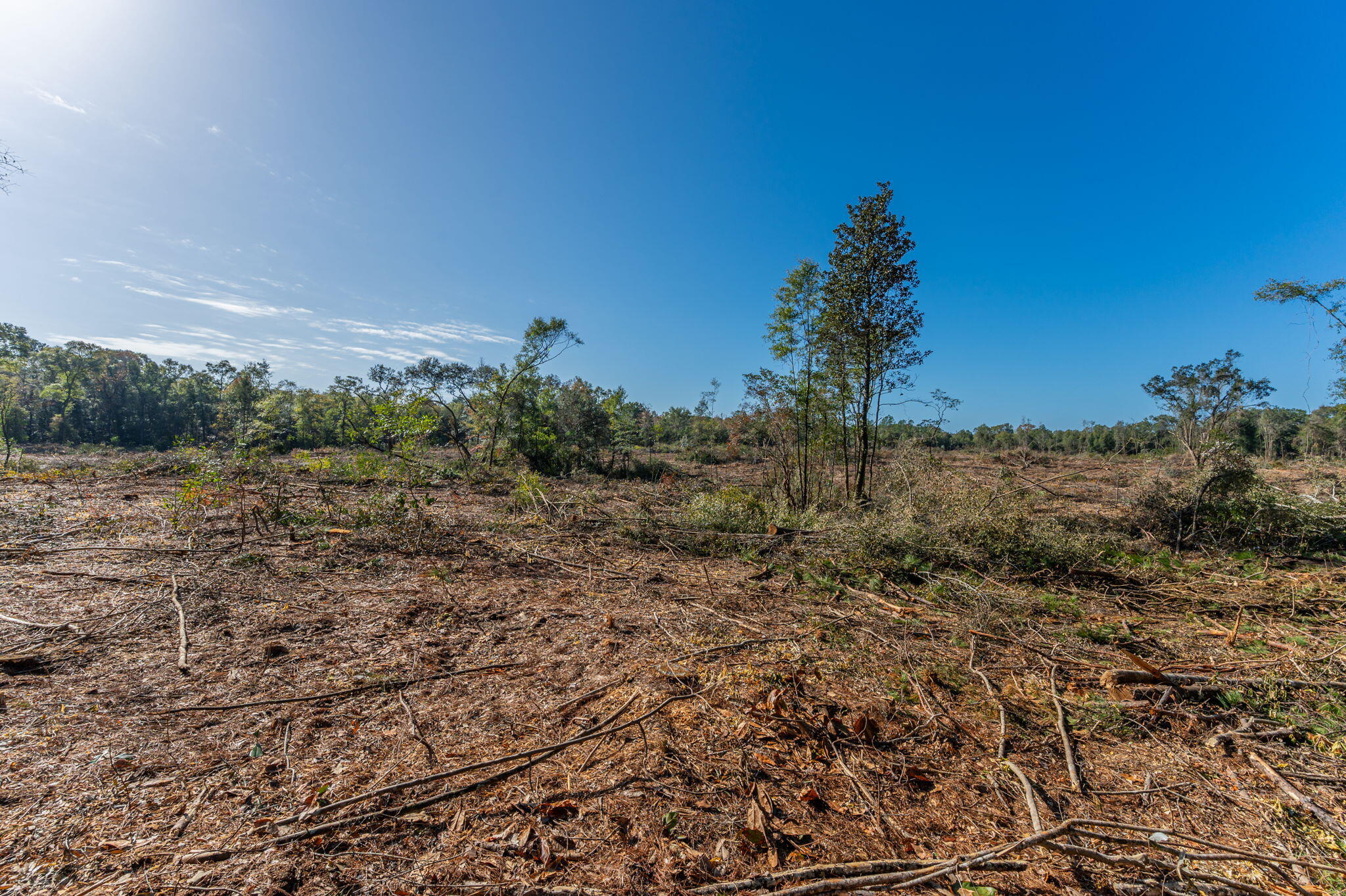 9-acres Cook Road Westville, FL 32464 - Photo 17 of 20 a view of a field with trees in background