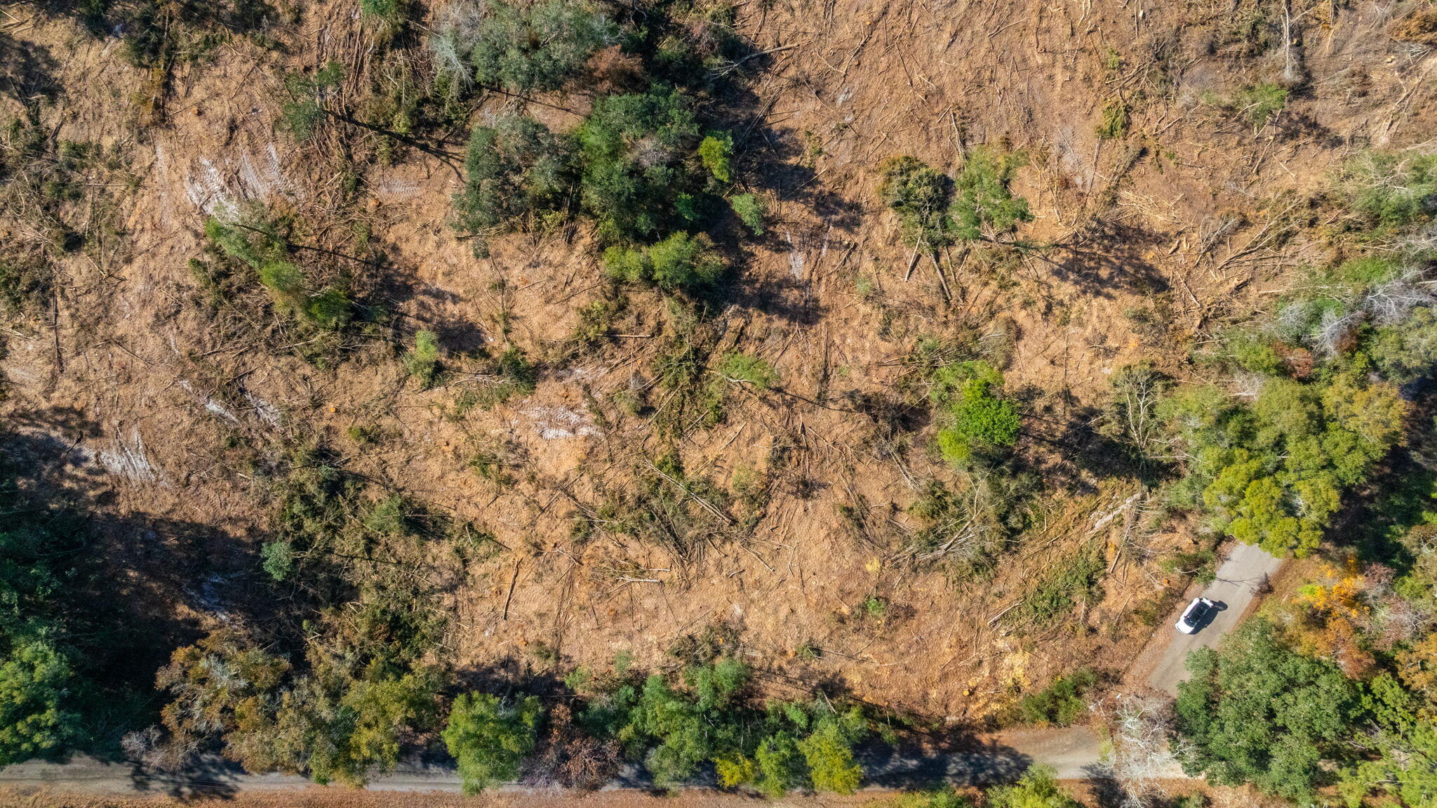 9-acres Cook Road Westville, FL 32464 - Photo 20 of 20