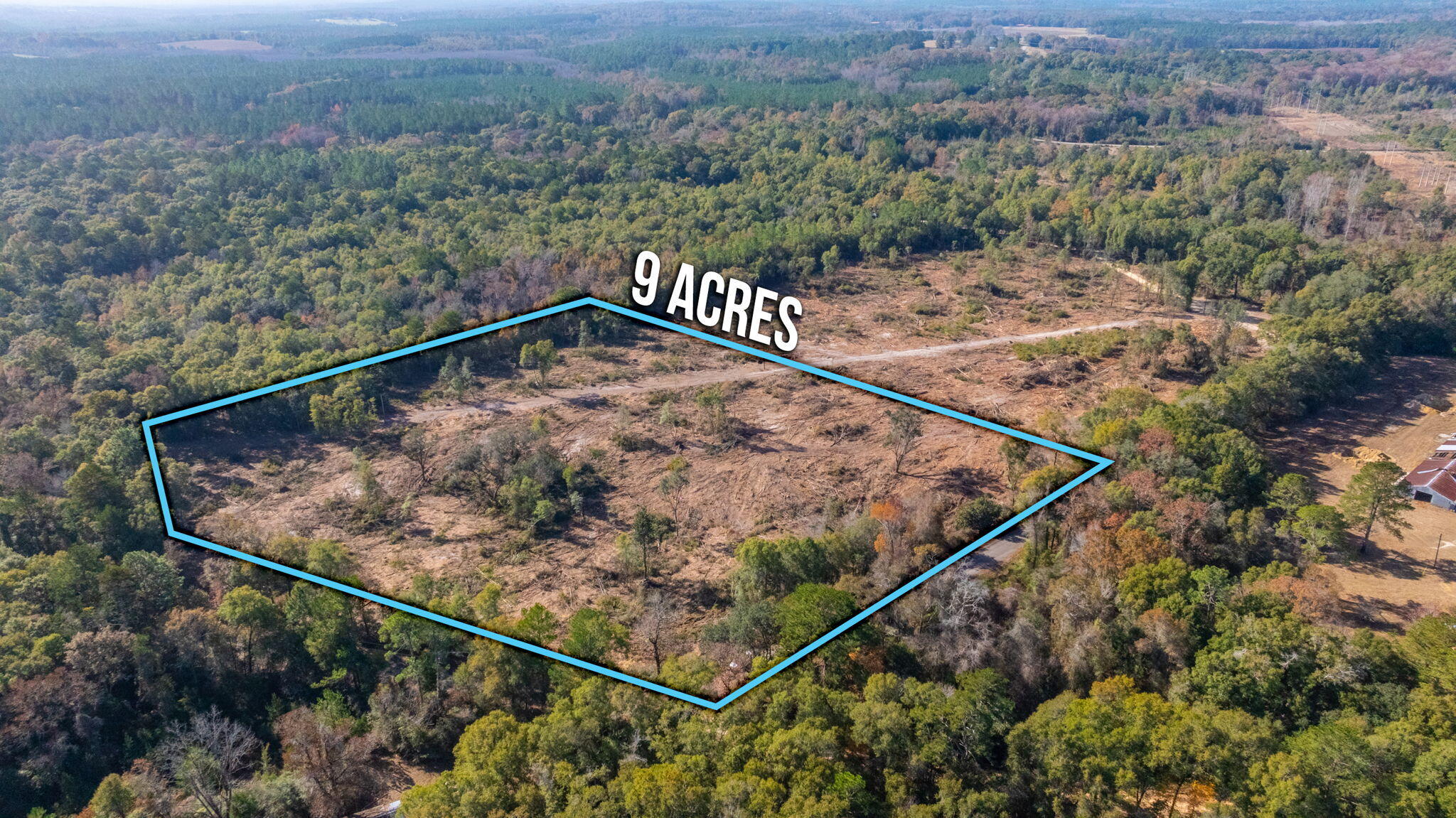9-acres Cook Road Westville, FL 32464 - Photo 2 of 20 a view of a forest