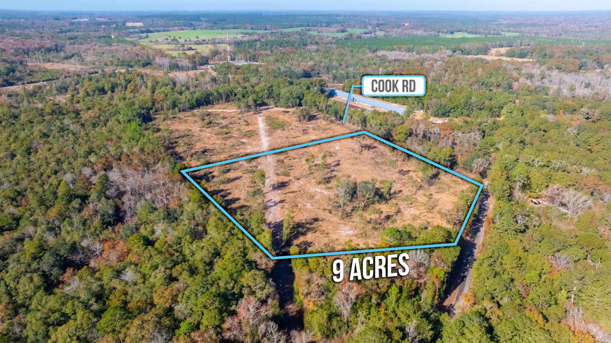 9-acres Cook Road Westville, FL 32464 - Photo 5 of 20