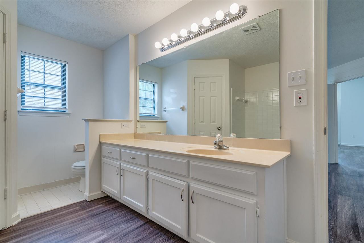 4233 Meadow Ridge Trail Memphis, TN 38141 - Photo 14 of 21 a bathroom with a double vanity sink and a mirror