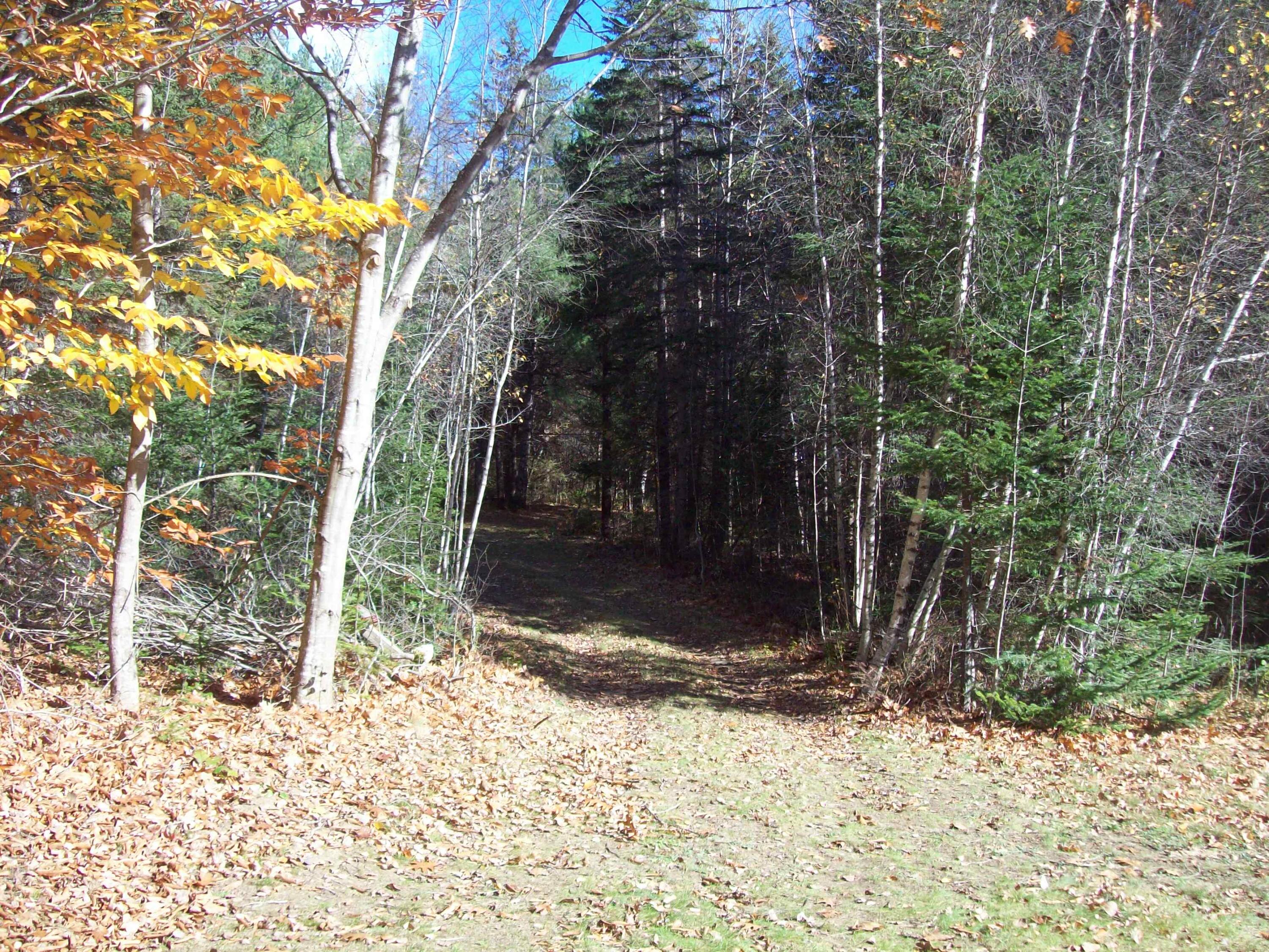 Tbd Hobbs Road Lakeville, ME 04487 - Photo 11 of 15 100_2434