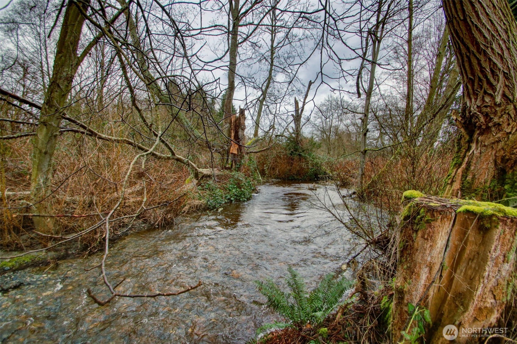 22556 Franklin Road Mount Vernon, WA 98273 - Photo 8 of 25