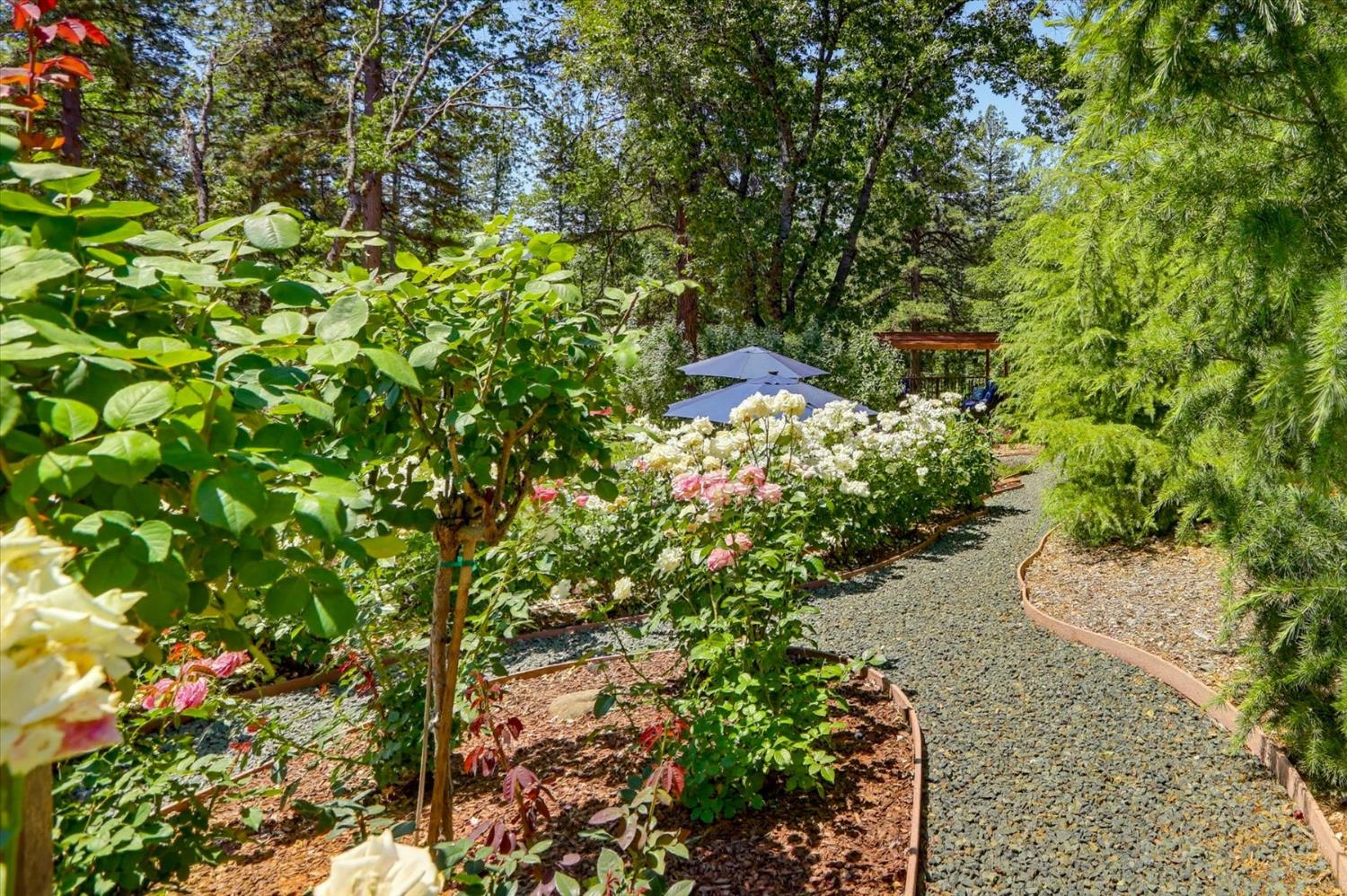 10213 Evergreen Ranch Court Grass Valley, CA 95949 - Photo 47 of 98