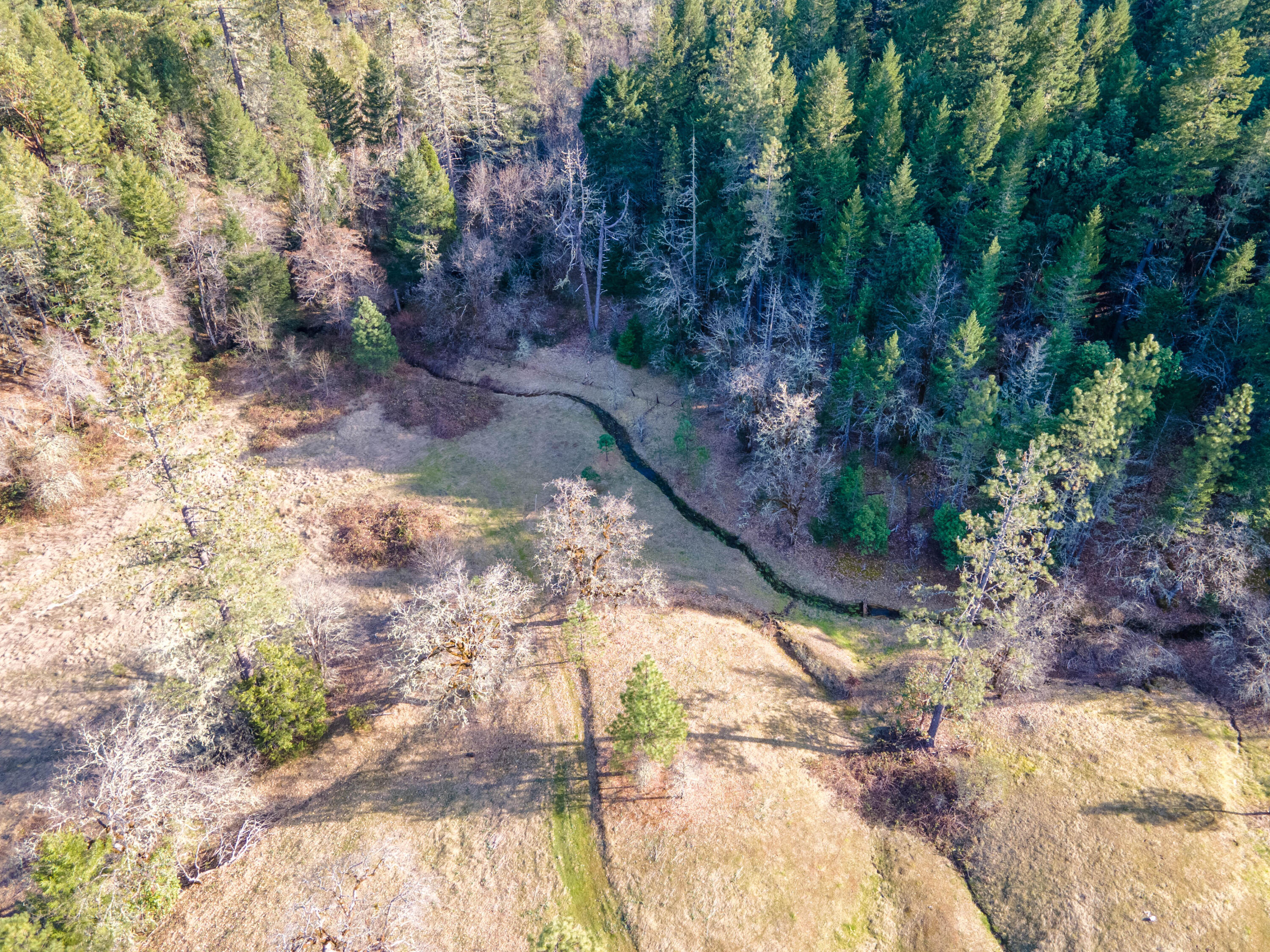 647 Gold Canyon Road Selma, OR 97538 - Photo 3 of 18 3