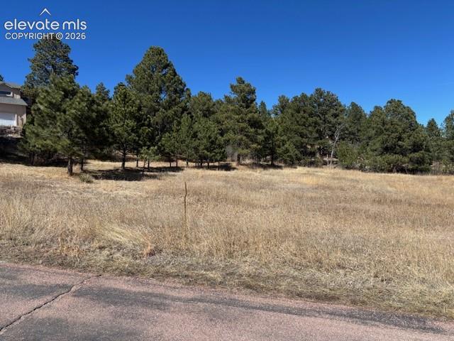 3560 Range View Road Monument, CO 80132 - Photo 6 of 6 Gallery Image 6