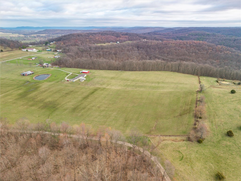 1926 Fairview Road Peebles, OH 45660 - Photo 10 of 44 Expansive green fields and tranquil pond offer picturesque countryside living.