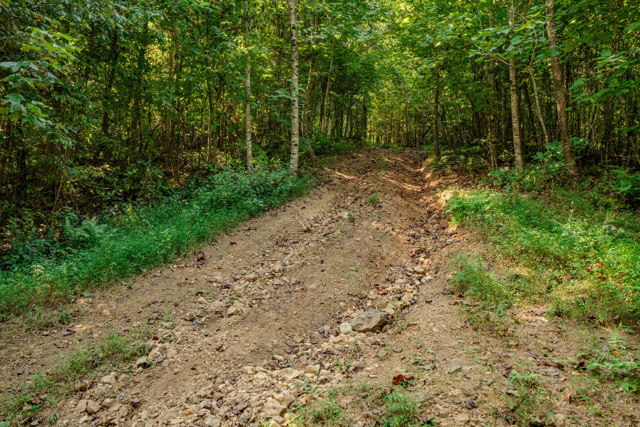 9270 Last Butler Creek Road Iron City, TN 38463 - Photo 38 of 86 Gallery Image 38