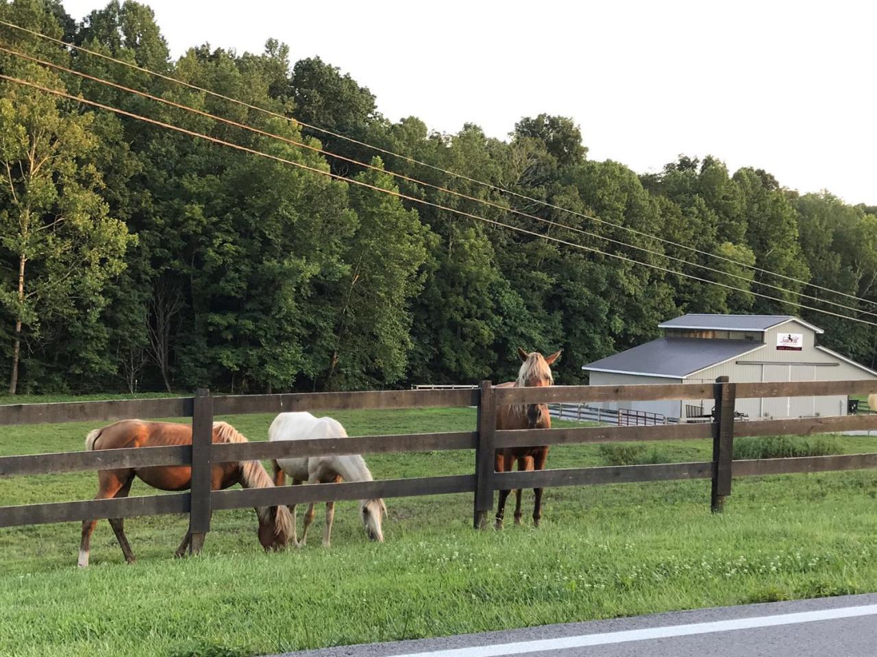 2060 Pumphouse Road Somerset, KY 42503 - Photo 15 of 21 Additional Photo