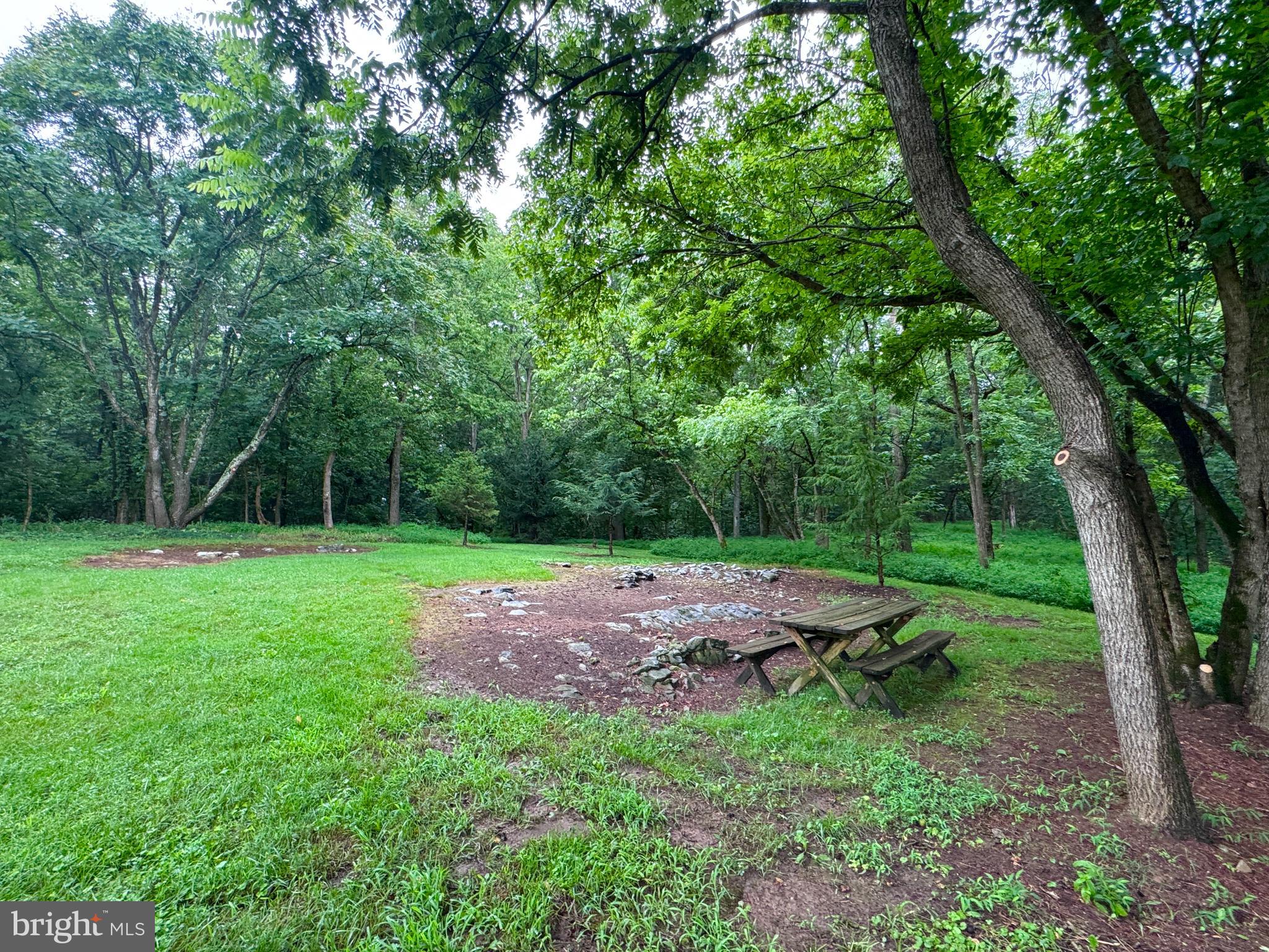 1794 Scrabble Road Martinsburg, WV 25404 - Photo 56 of 78