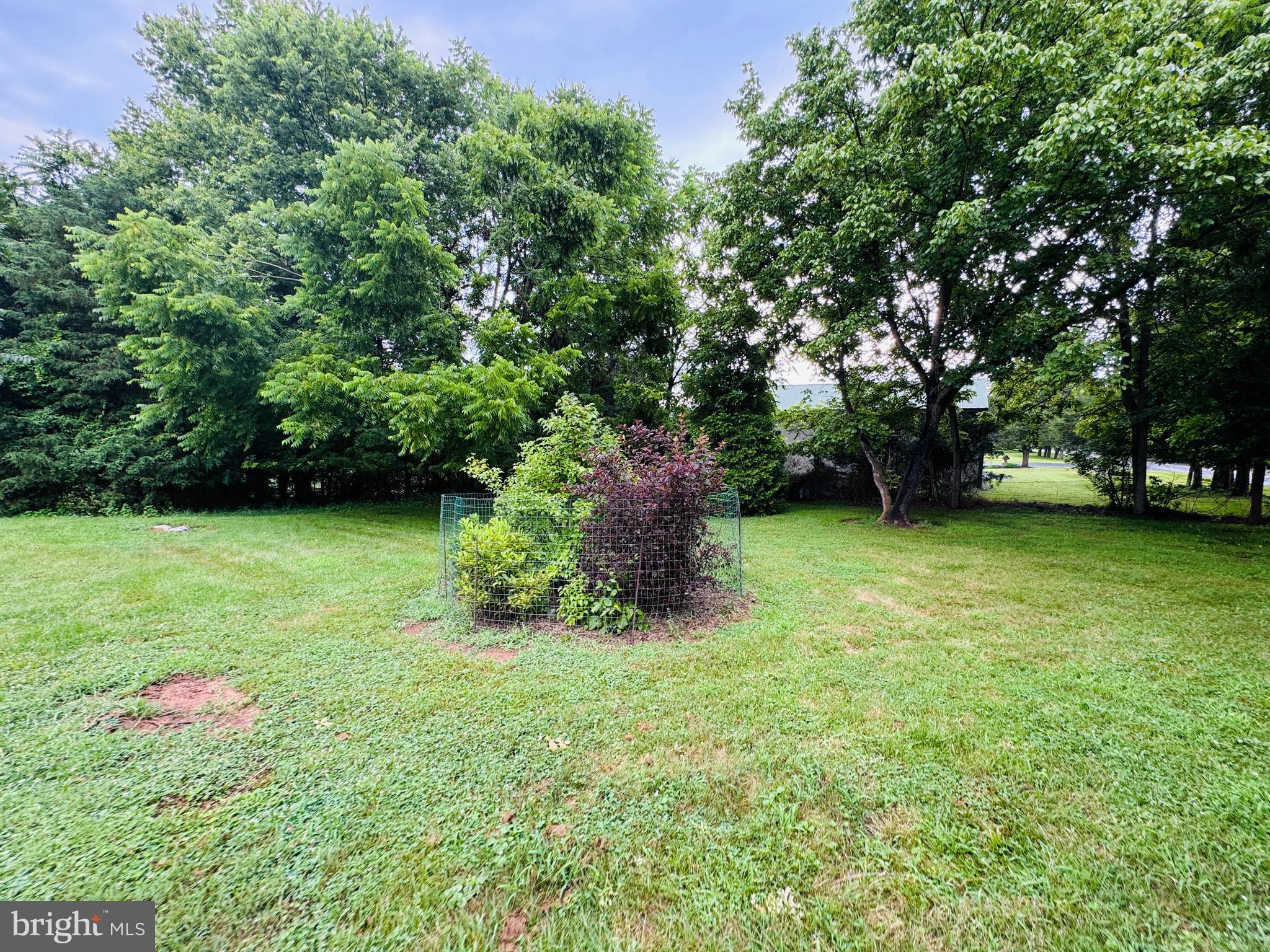 1794 Scrabble Road Martinsburg, WV 25404 - Photo 57 of 78