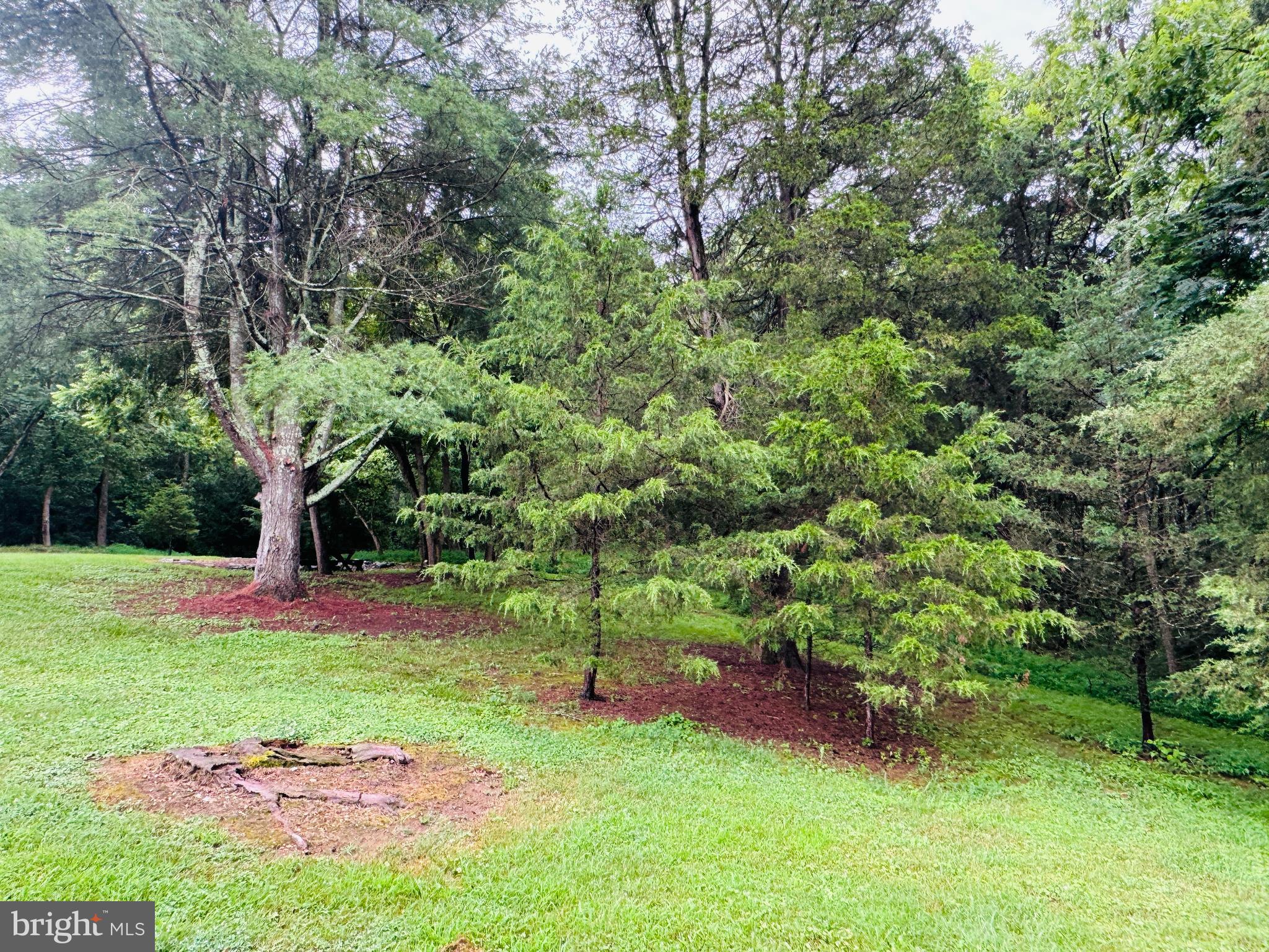 1794 Scrabble Road Martinsburg, WV 25404 - Photo 58 of 78