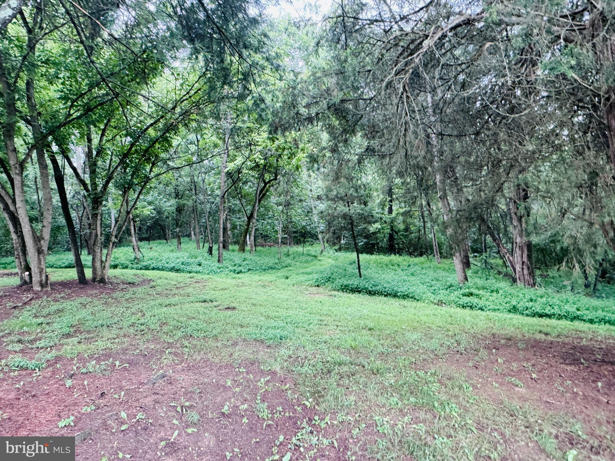 1794 Scrabble Road Martinsburg, WV 25404 - Photo 9 of 78