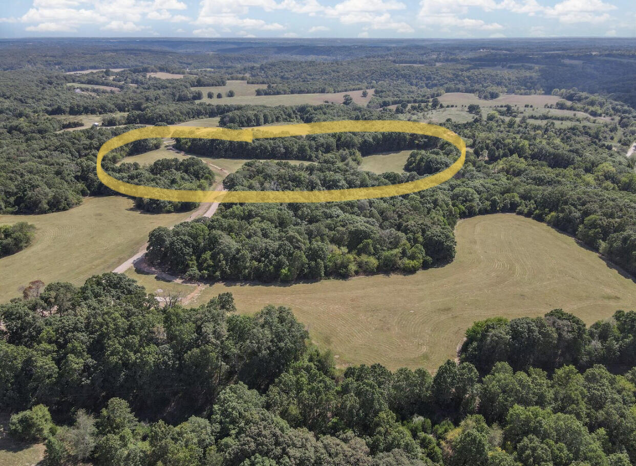 5 Kimberlin Mill Road Clever, MO 65631 - Photo 1 of 1 tract5_2.jpg