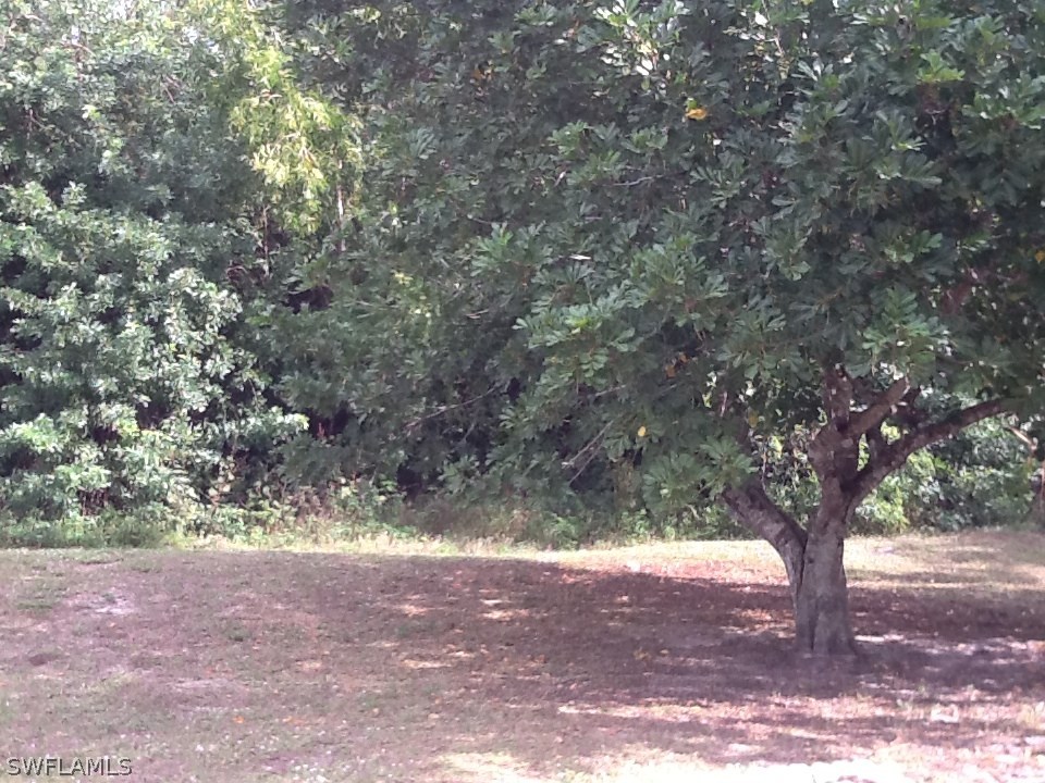 17217 Oriole Road Fort Myers, FL 33967 - Photo 20 of 22 a view of yard with trees