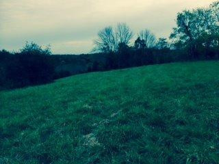 14315 Stamping Ground Road Stamping Ground, KY 40379 - Photo 10 of 15 Photo 10