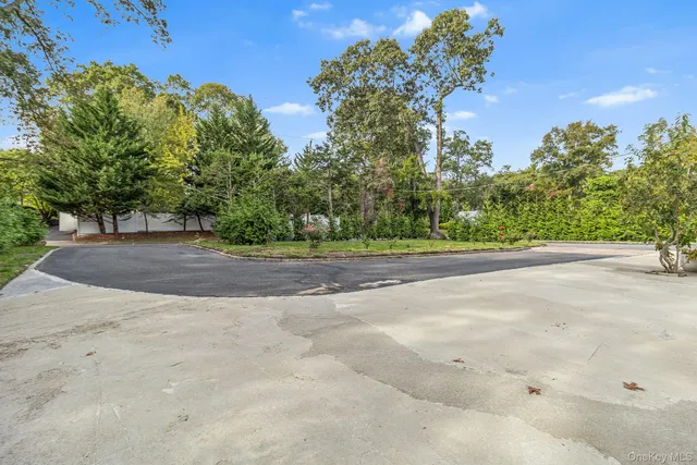 a view of a roadside with trees