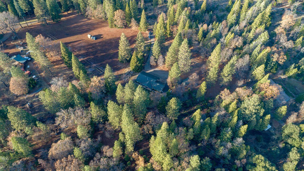 30057 Rl Smith Logging Road Oak Run, CA 96069 - Photo 47 of 58 a backyard of a house with lots of green space