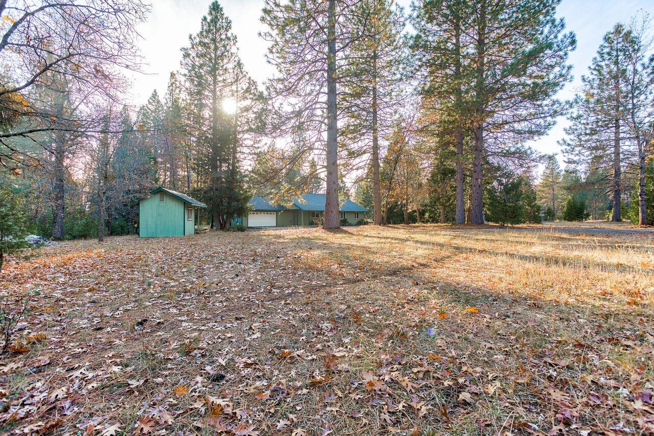 30057 Rl Smith Logging Road Oak Run, CA 96069 - Photo 52 of 58 a backyard of a house with large trees
