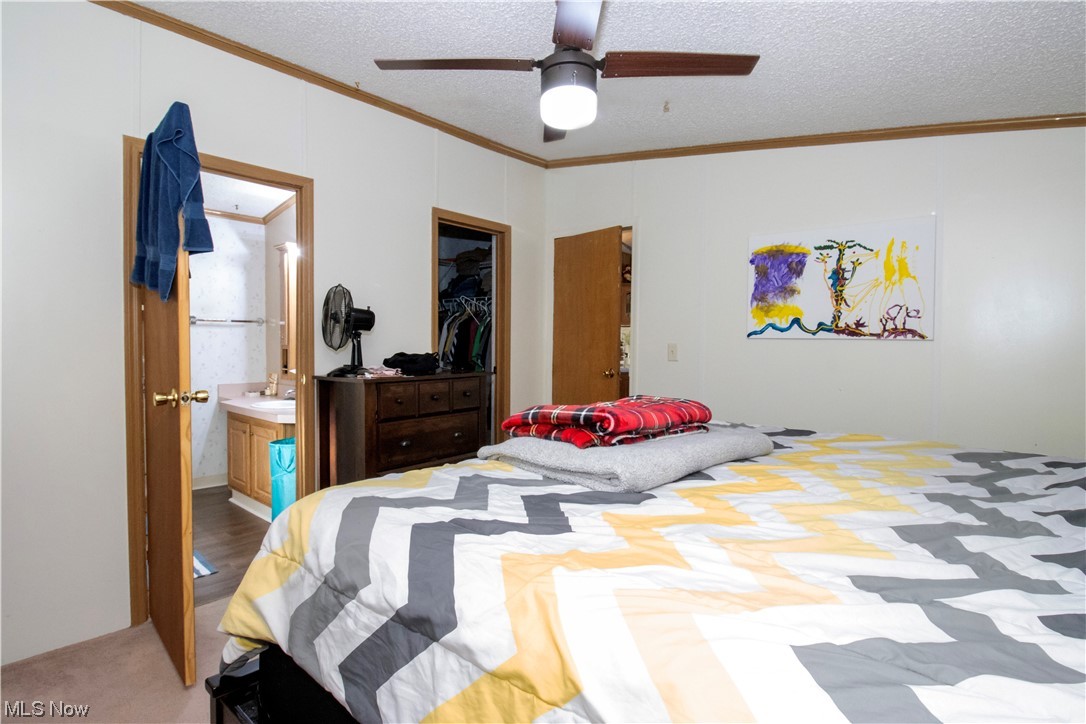 3233 Dover Road Wooster, OH 44691 - Photo 27 of 30 Bedroom featuring ensuite bath, ceiling fan, a textured ceiling, and light colored carpet