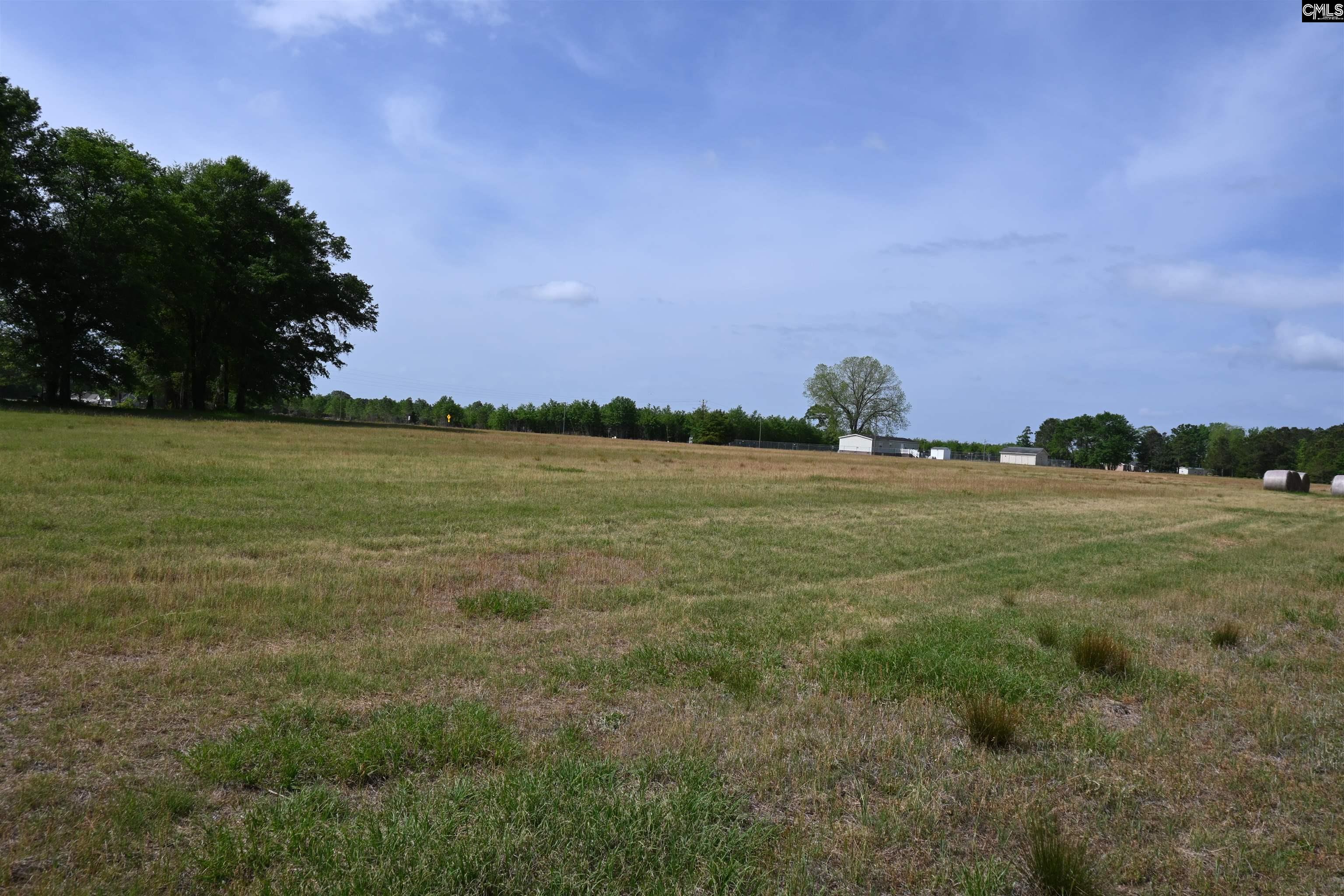 Tbd Gallowaytown Road Hartsville, SC 29550 - Photo 9 of 34