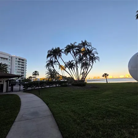 a view of a park with a big yard and palm trees