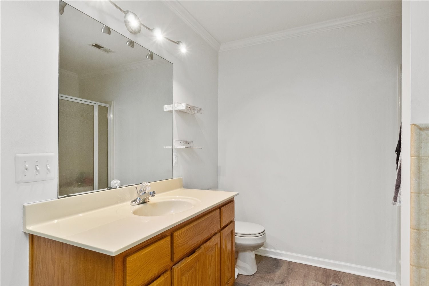 351 Rippy Ridge Road Normandy, TN 37360 - Photo 22 of 45 a bathroom with a sink mirror vanity and toilet
