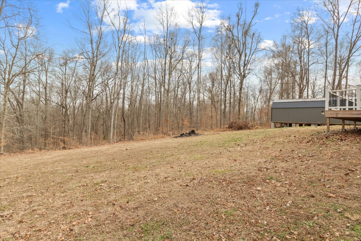 351 Rippy Ridge Road Normandy, TN 37360 - Photo 36 of 45 a backyard of a house with trees