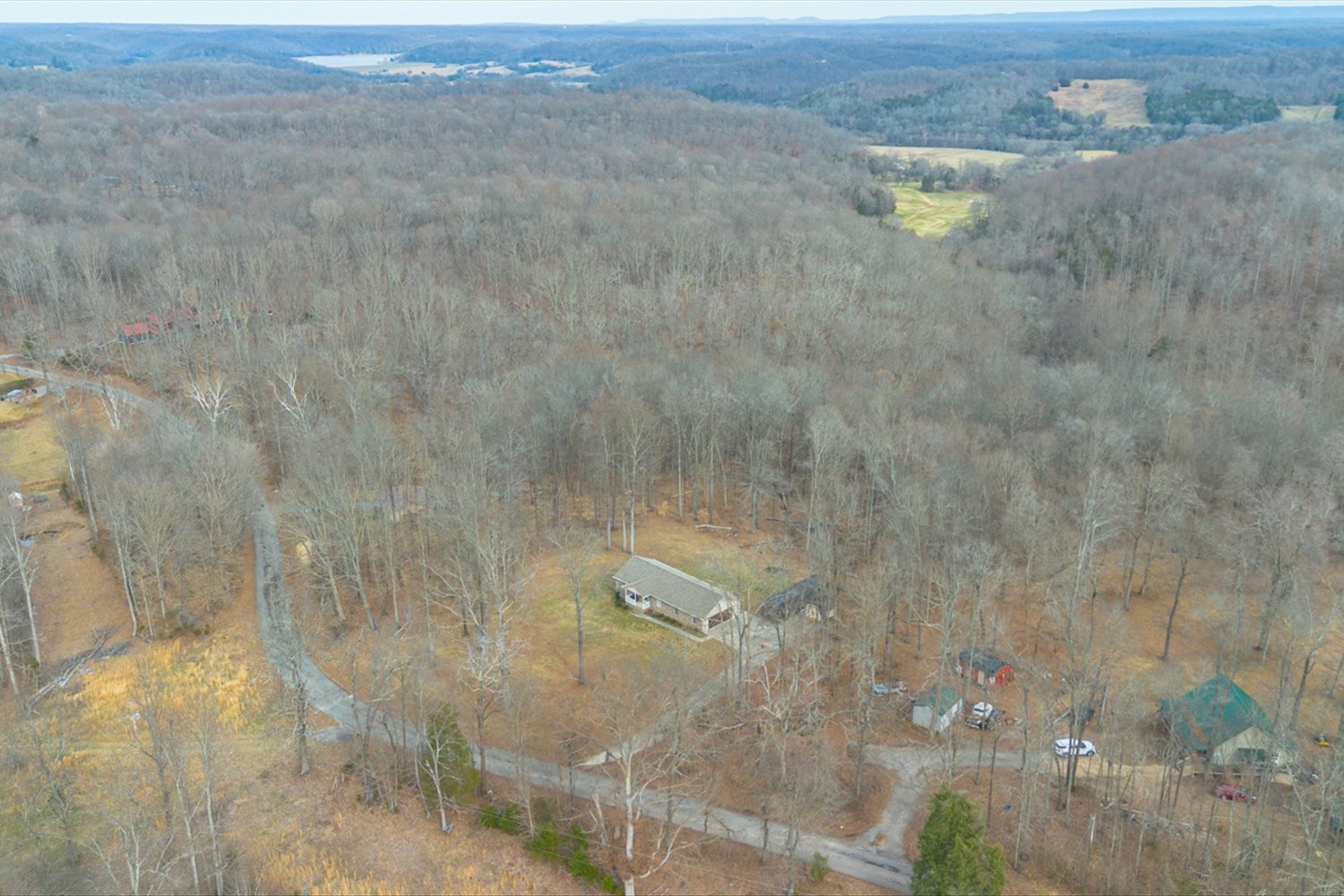 351 Rippy Ridge Road Normandy, TN 37360 - Photo 40 of 45 a view of a dry yard