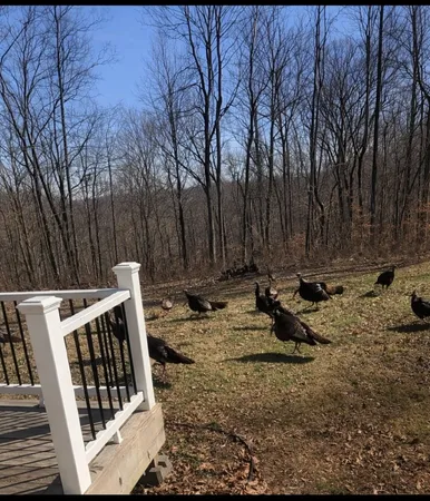 $485,000 | 351 Rippy Ridge Road, Normandy, TN 37360