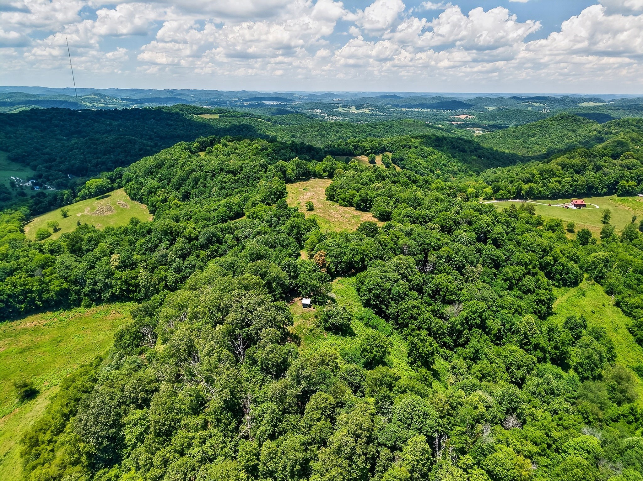 99 Judkins Road Hickman, TN 38567 - Photo 54 of 62 a view of a green field with lots of bushes