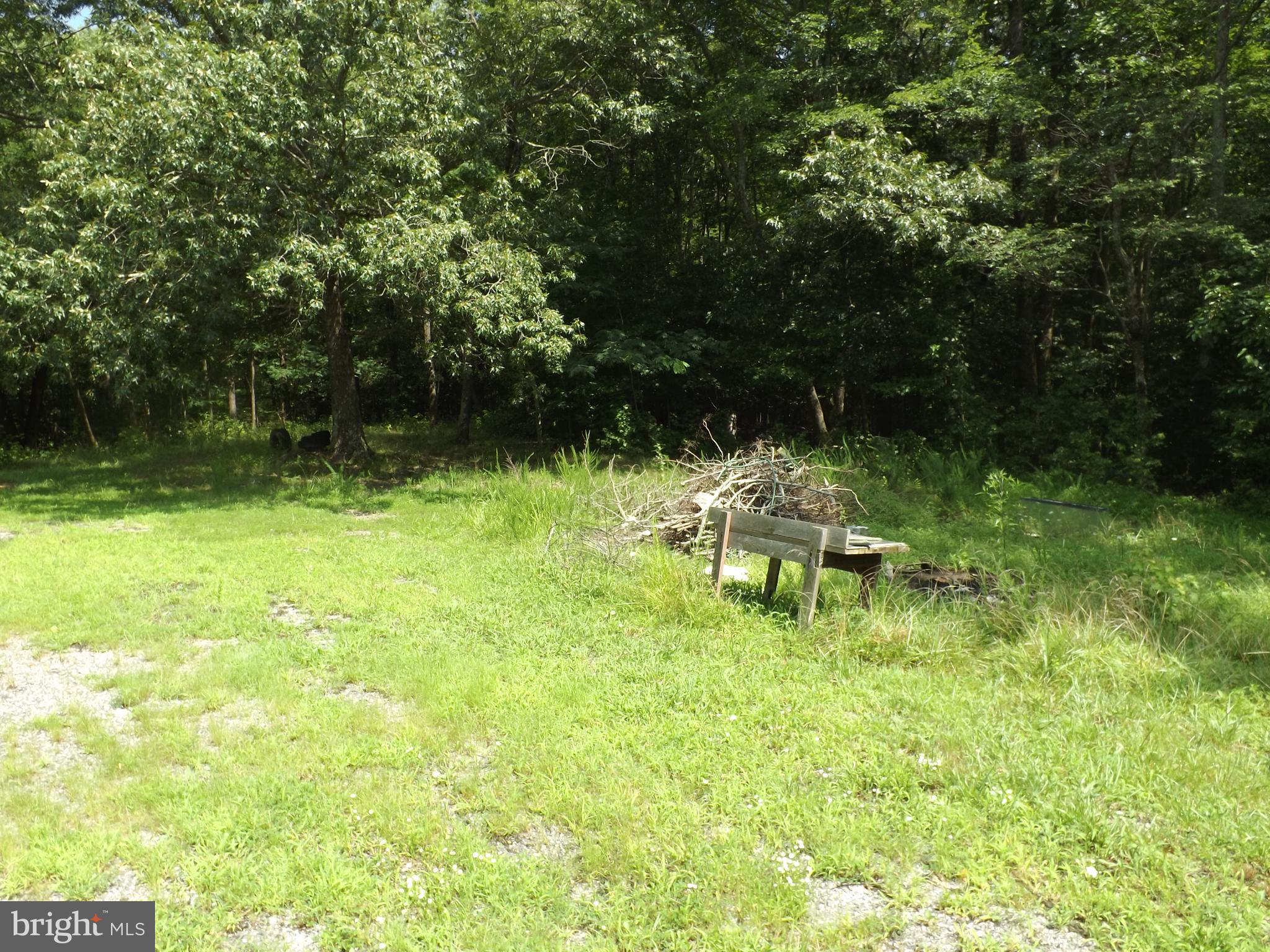 Neck Road Aquasco, MD 20608 - Photo 3 of 5 Heavy wooded