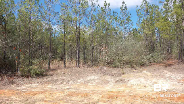43 10 Mile Road Pensacola, FL 32534 - Photo 11 of 27