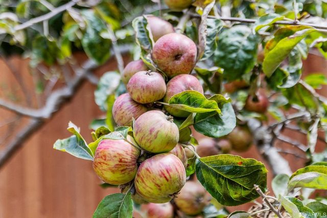 $2,500,000 | 1535 Grove Street, San Francisco, CA 94117