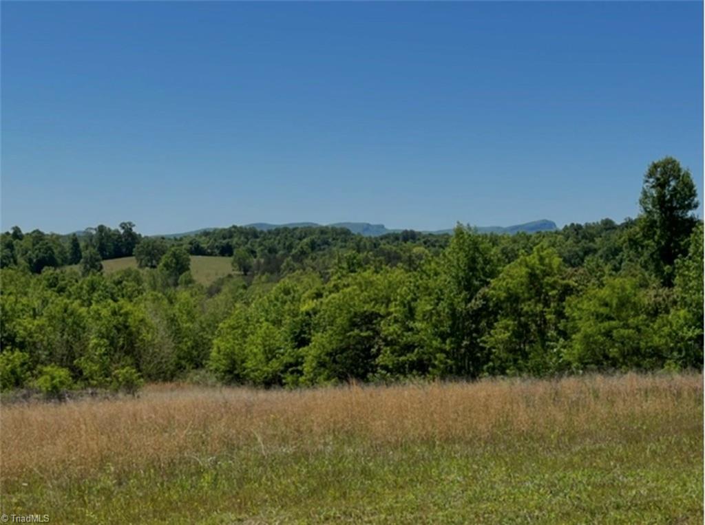 Perfect location to build your dream home!