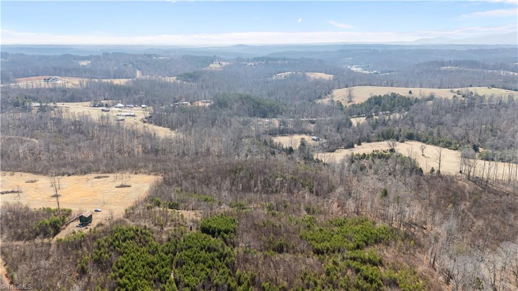 0 Moir Farm Road Lawsonville, NC 27022 - Photo 2 of 8