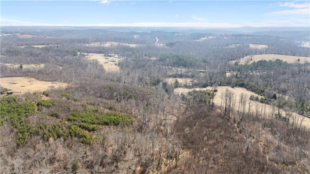 0 Moir Farm Road Lawsonville, NC 27022 - Photo 3 of 8