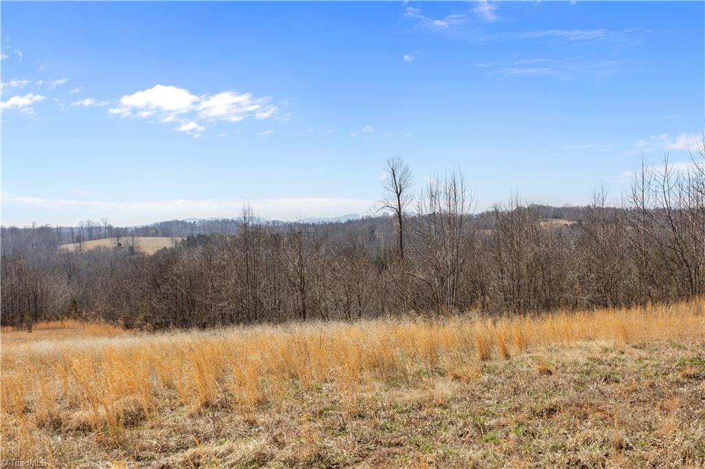 0 Moir Farm Road Lawsonville, NC 27022 - Photo 4 of 8